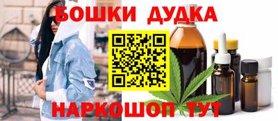 шишки Камышлов