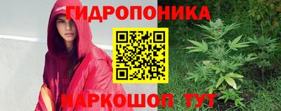 шишки Камышлов