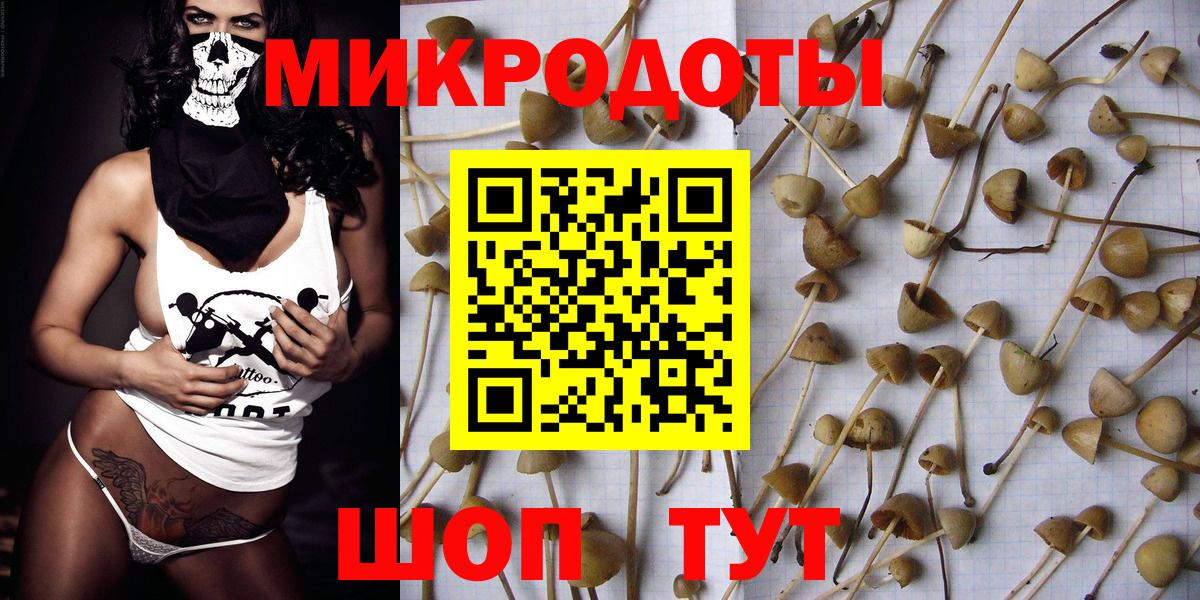 Лангепас  Псилоцибиновые грибы мухоморы  Вход с VPN 